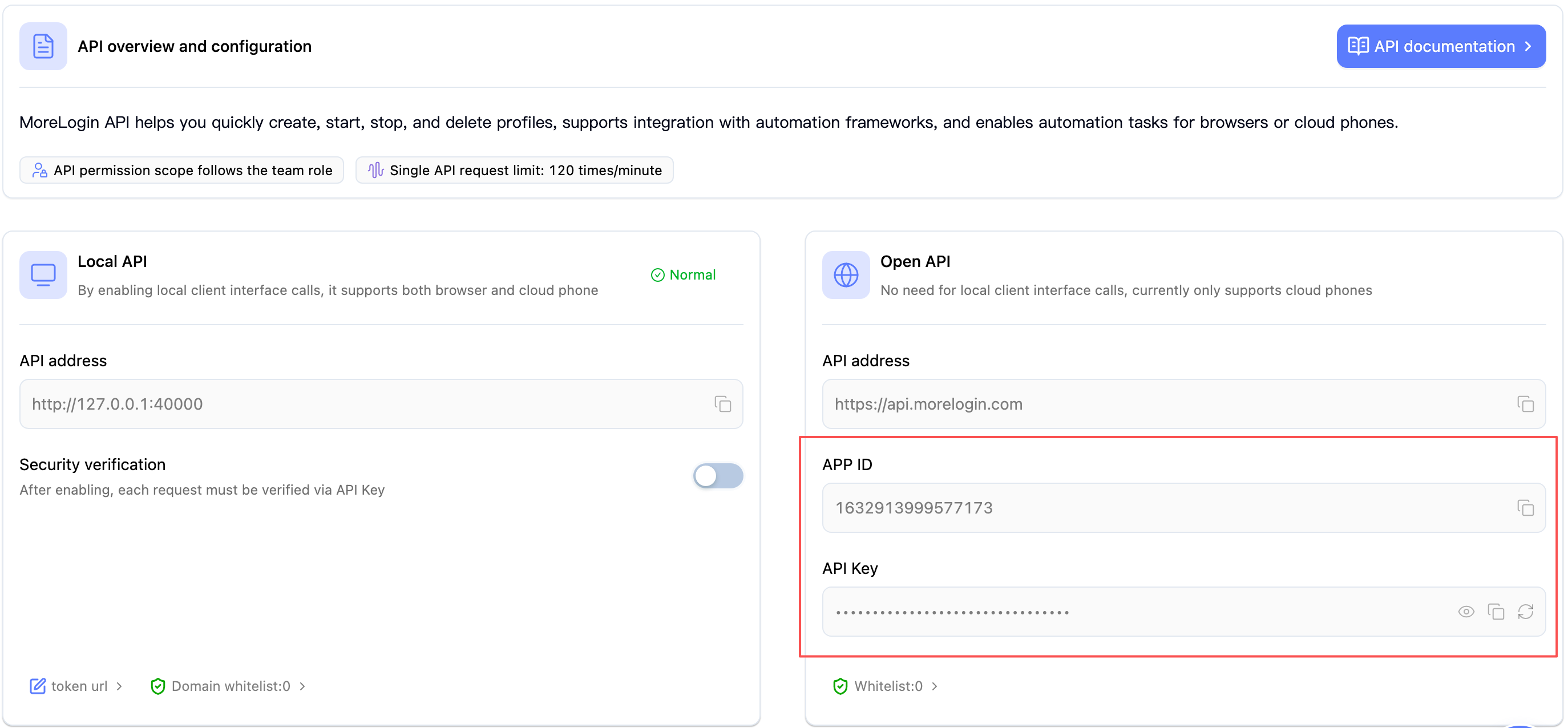 Дополнительные настройки API для входа — скопируйте идентификатор приложения и ключ API из раздела «Открытый API»